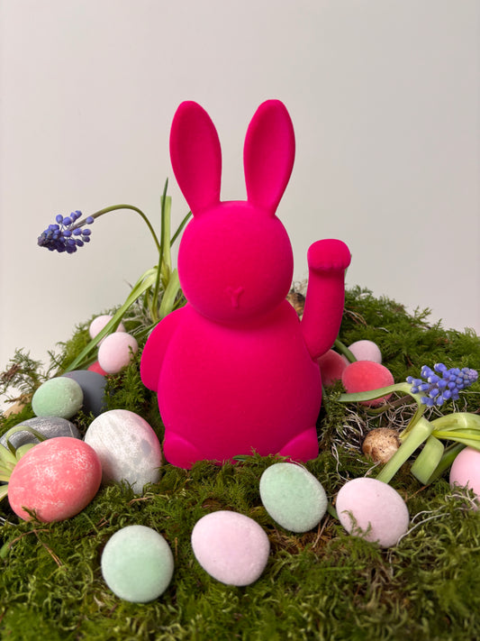 Winke Hase